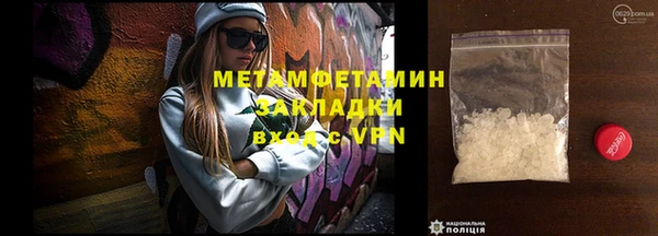 прущие грибы Магадан