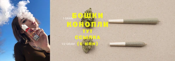 ПСИЛОЦИБИНОВЫЕ ГРИБЫ Магас