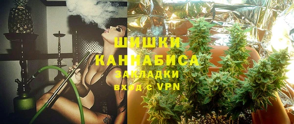 ПСИЛОЦИБИНОВЫЕ ГРИБЫ Магас