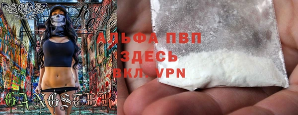 стаф Володарск