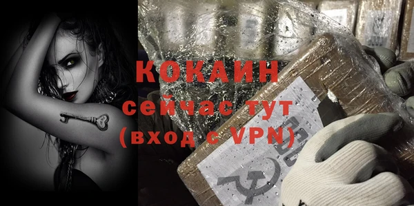 прущие грибы Магадан