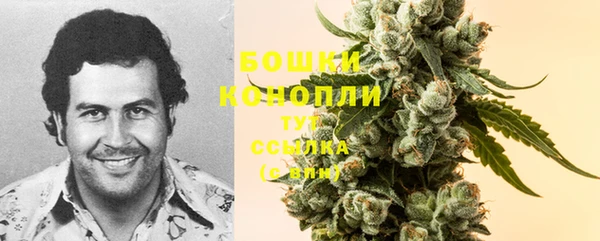 стаф Володарск