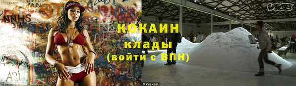 стаф Володарск