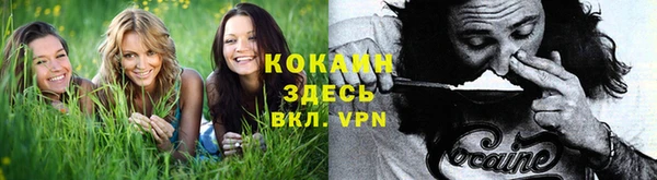 стаф Володарск