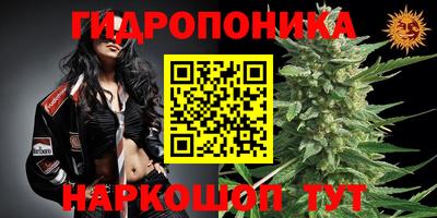 первитин Вязьма